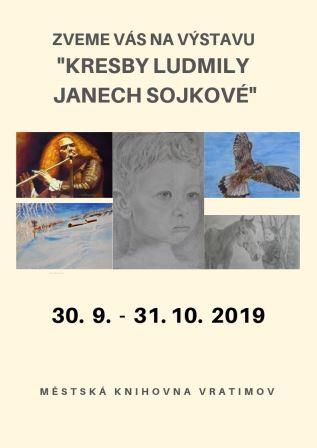 2019 výstava Sojková kopie